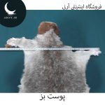 پوست بز زیبا کد BBB2