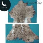پوست گوسفند دراز جذاب کد Z1