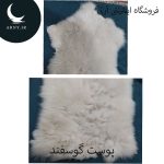 پوست گوسفند کد Z2