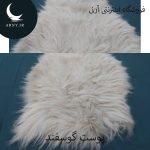 پوست گوسفند کد Z4