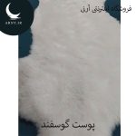 پوست گوسفند کد Z7 - Image 3